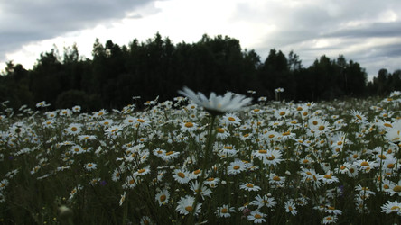 Similar image 22400961