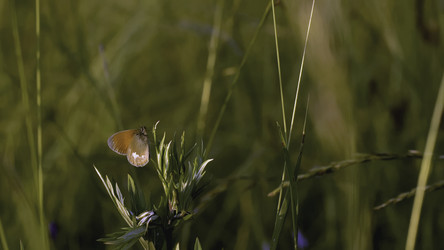 Similar image 22401052