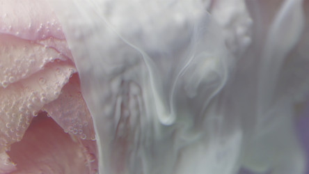 Similar image 22401113