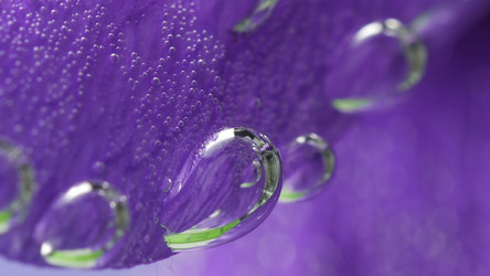 Similar image 22401169