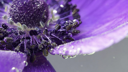 Similar image 22402080