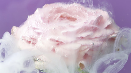 Similar image 22402095