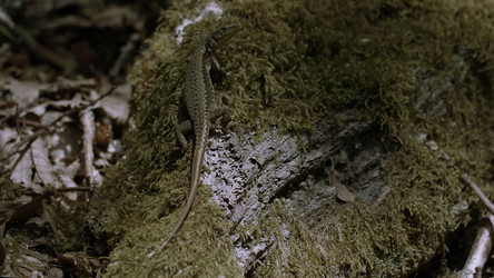 Similar image 22402525