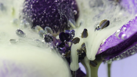 Similar image 22402544