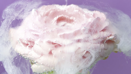 Similar image 22405571