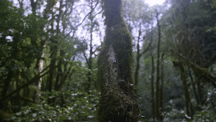 Similar image 22405962