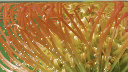 Similar image 22405975