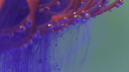 Similar image 22406052