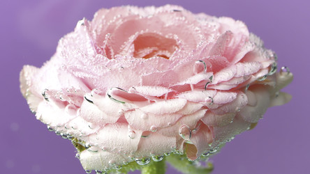 Similar image 22406063