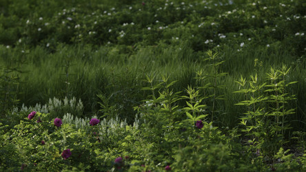 Similar image 22406082