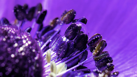 Similar image 22406110