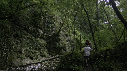 Similar image 22406125