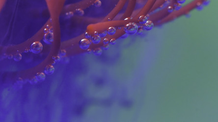 Similar image 22406245