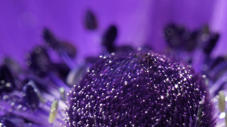 Similar image 22406322