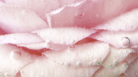 Similar image 22406366