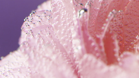 Similar image 22406441