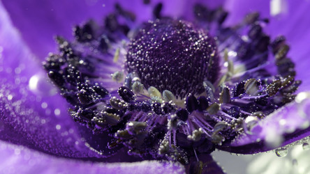 Similar image 22406471