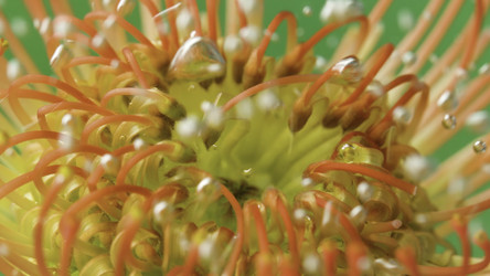 Similar image 22406517