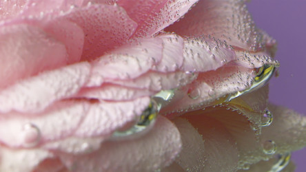 Similar image 22406530