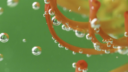 Similar image 22406605