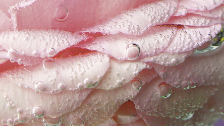 Similar image 22406621