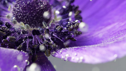 Similar image 22406666