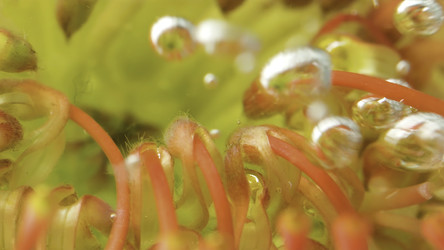 Similar image 22406696