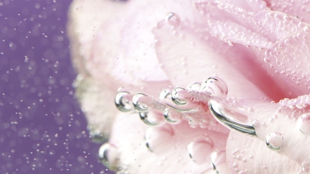 Similar image 22406711