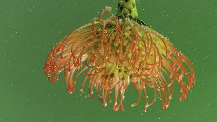 Similar image 22406786