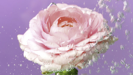 Similar image 22406800