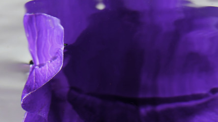 Similar image 22406830