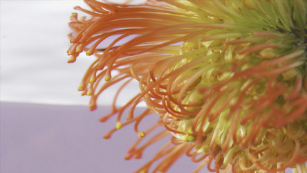 Similar image 22406891