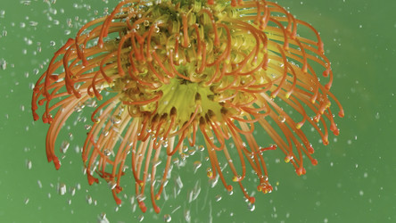 Similar image 22406967