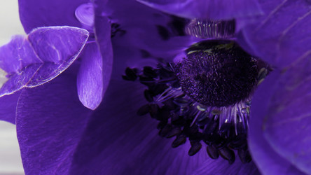 Similar image 22407026