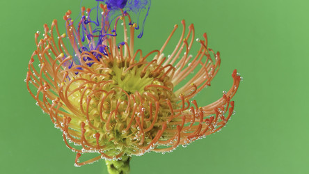 Similar image 22407058