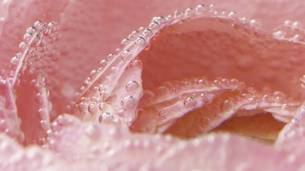 Similar image 22407072