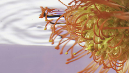 Similar image 22407148