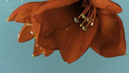 Similar image 22407163