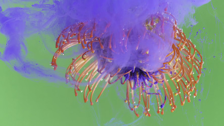 Similar image 22407194