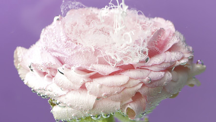 Similar image 22407221