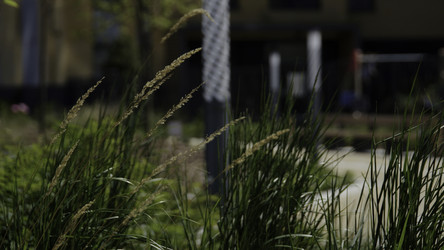 Similar image 22407267