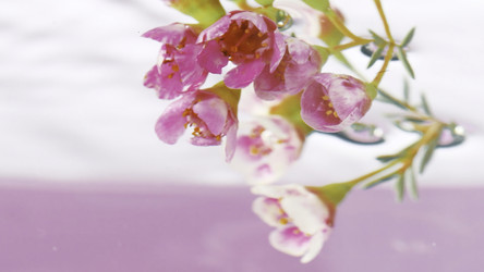 Similar image 22407296