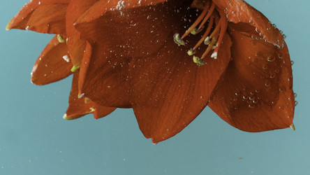 Similar image 22407313