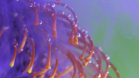 Similar image 22407355