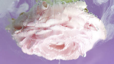 Similar image 22407373