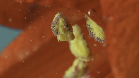 Similar image 22407386