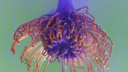 Similar image 22407505