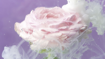 Similar image 22407550