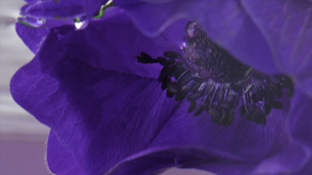 Similar image 22407565