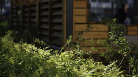 Similar image 22407599